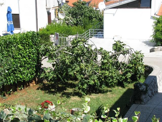 Apartman "Ela" Njivice Bagian luar foto